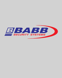 Lorne Babb's headshot